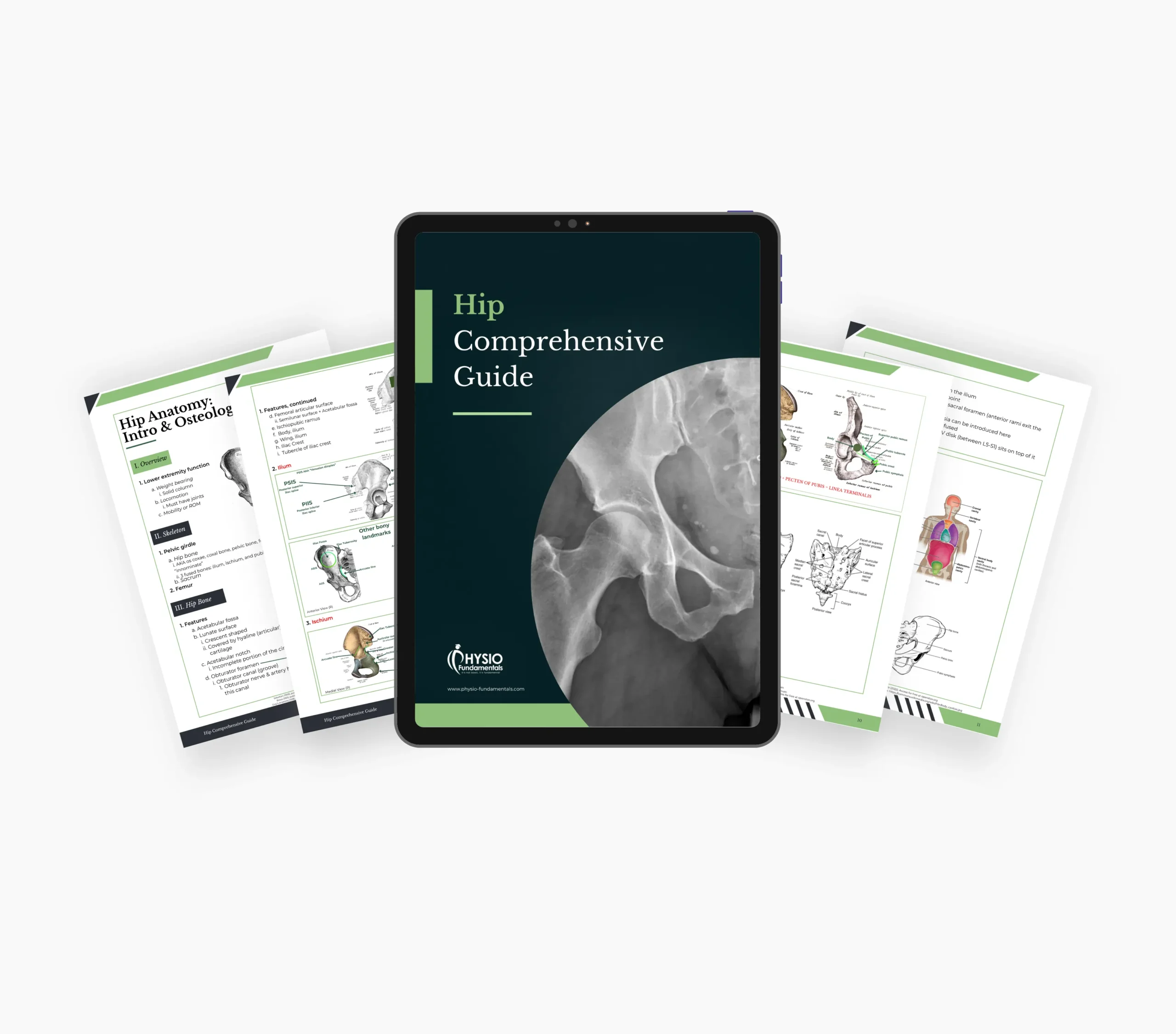 Hip Comprehensive Study Guide - Image 2