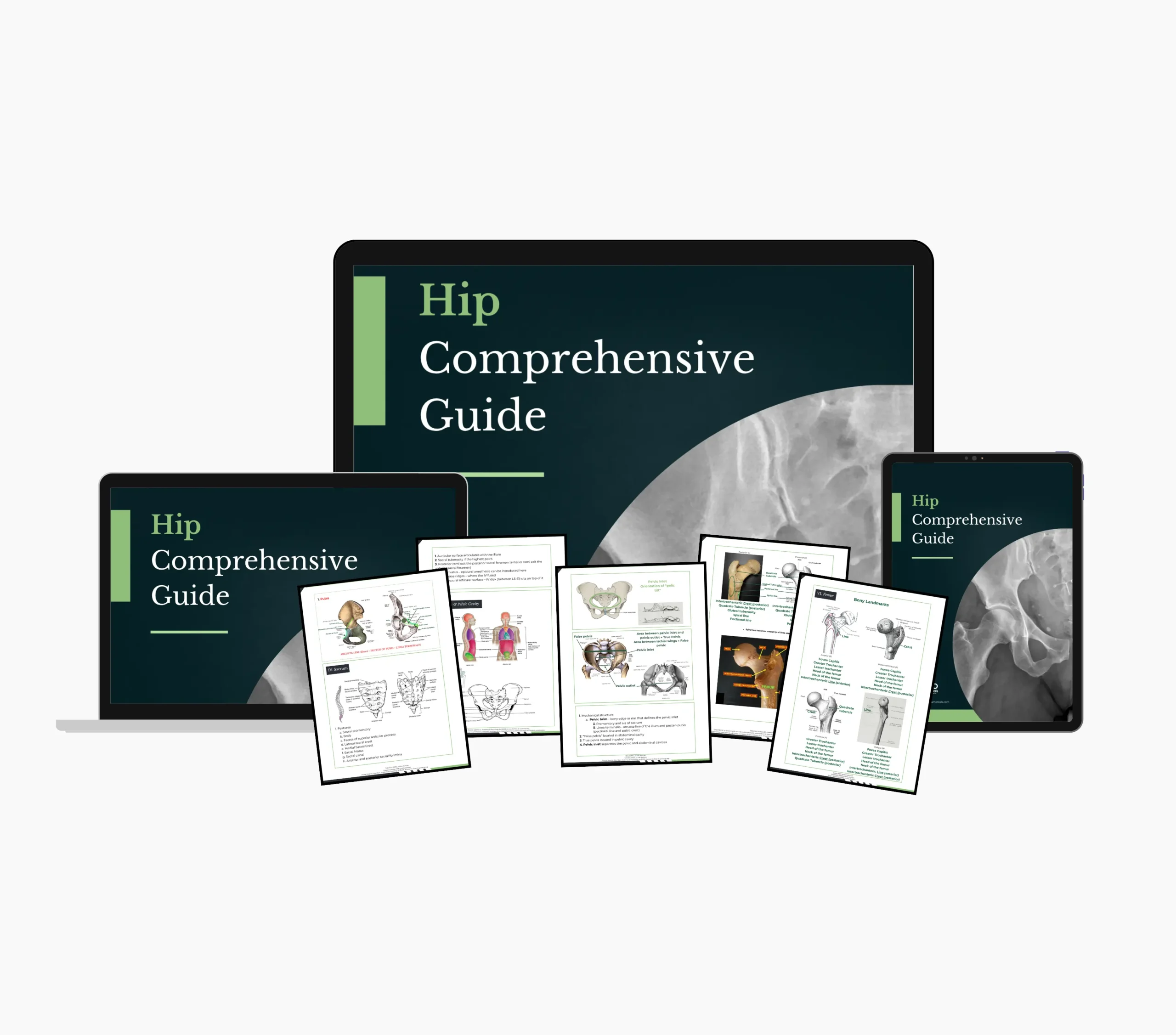 Hip Comprehensive Study Guide - Image 3