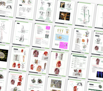 Hip Comprehensive Study Guide - Image 4