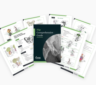 Hip Comprehensive Study Guide - Image 6