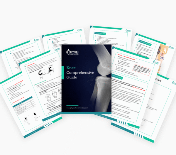 Knee Comprehensive Guide – Physio Fundamentals