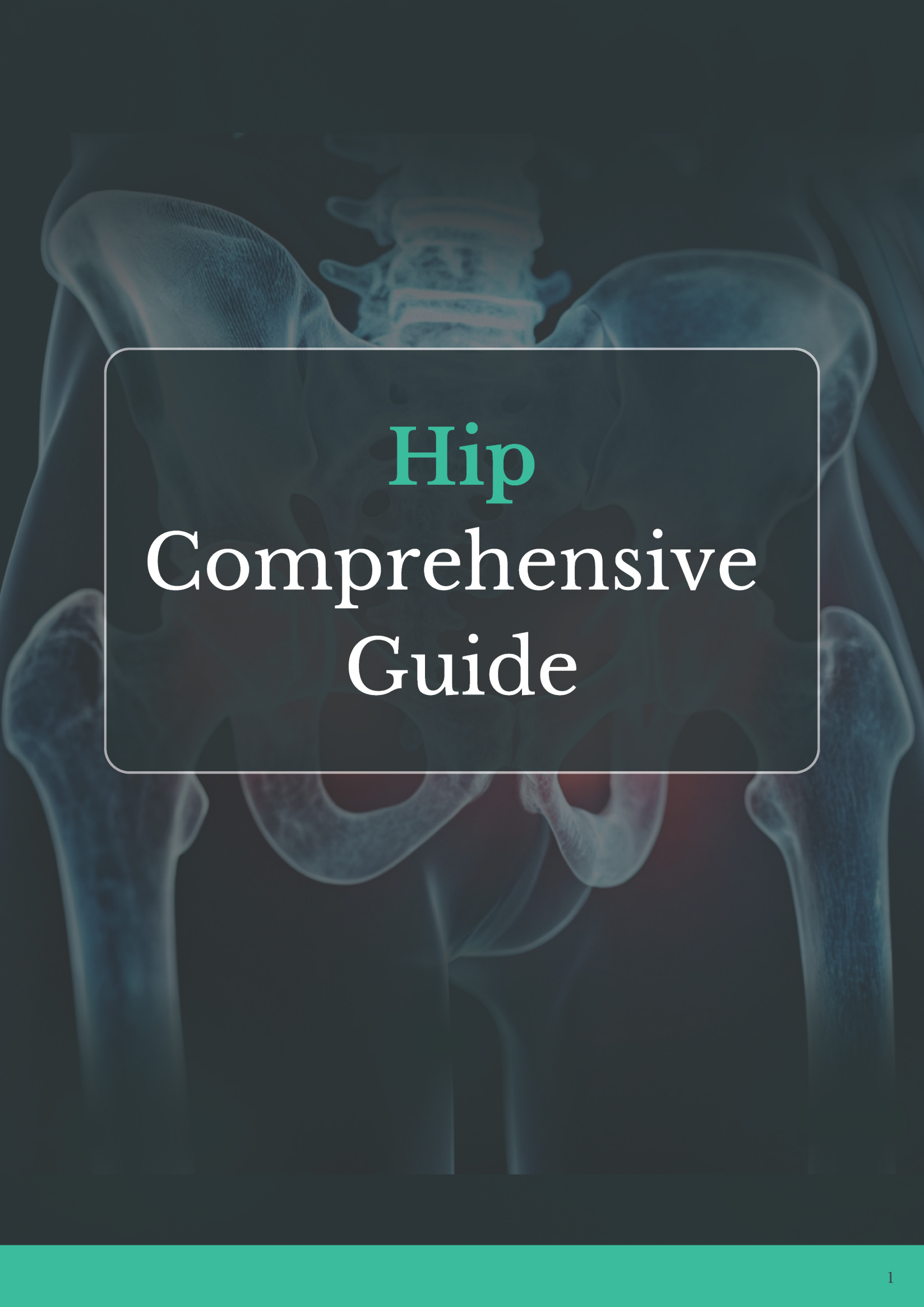 updated_final_hip_comprehensive_guide_1