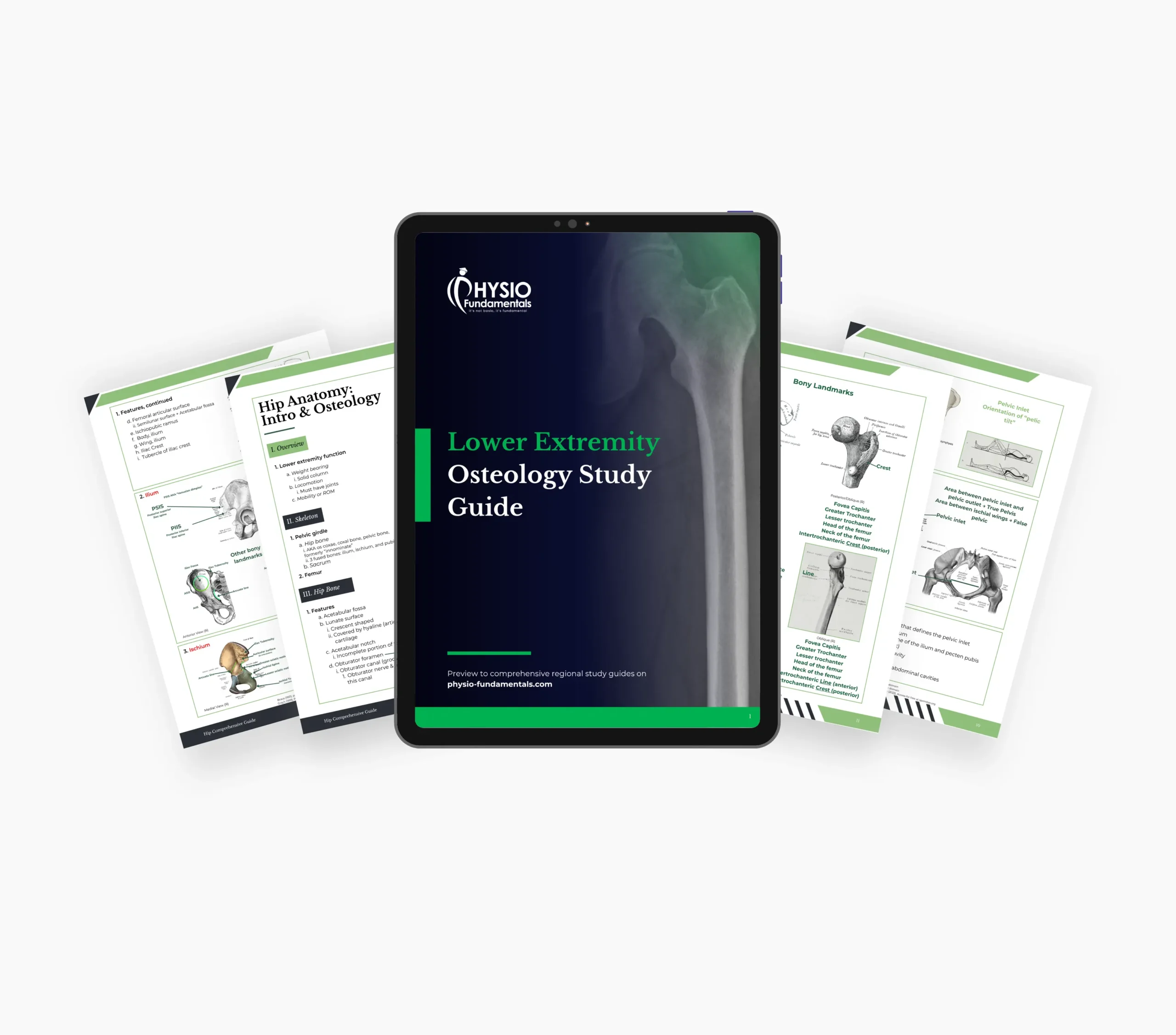 Lower Extremity Osteology Study Guide - Image 2