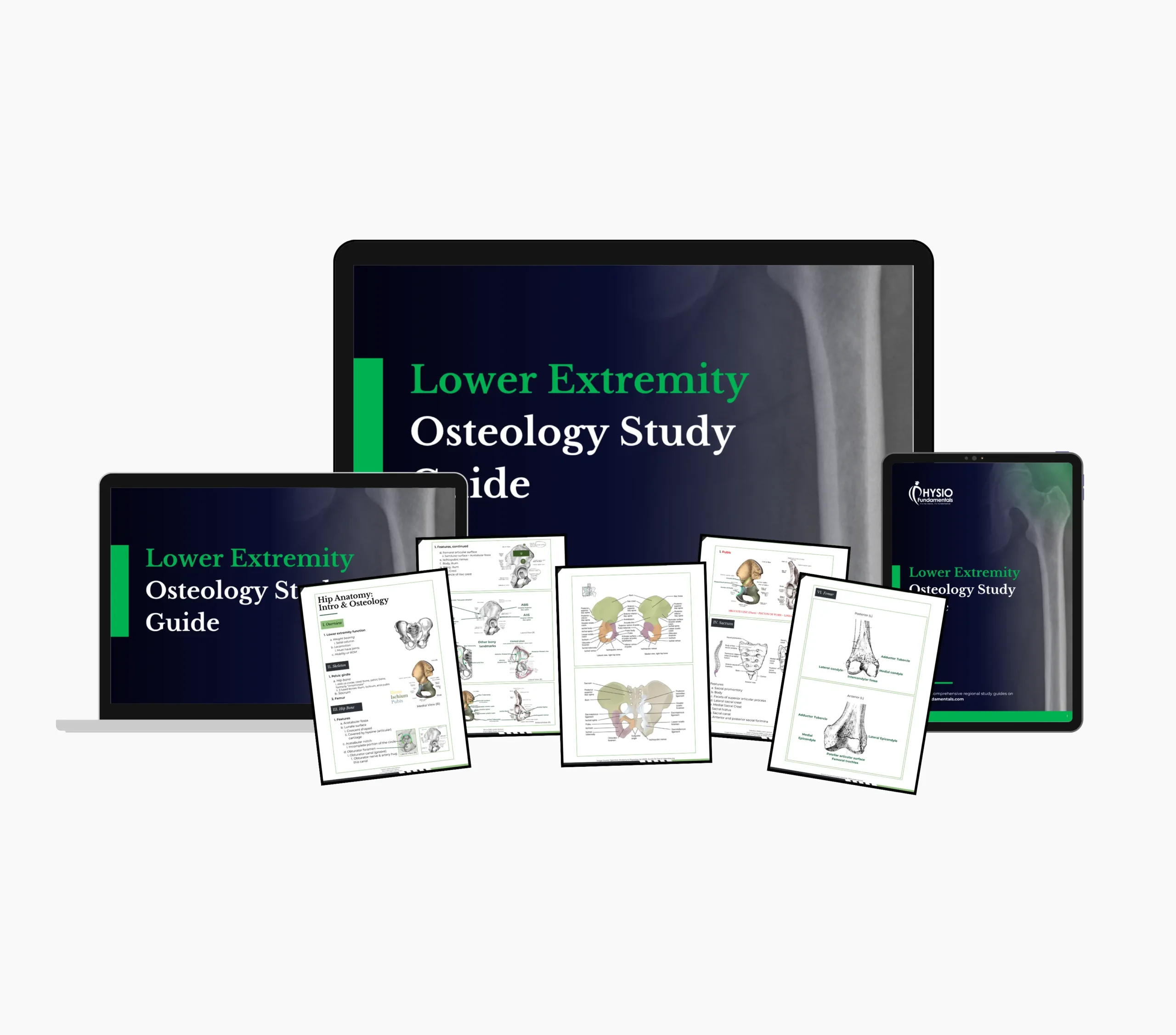 Lower Extremity Osteology Study Guide - Image 3