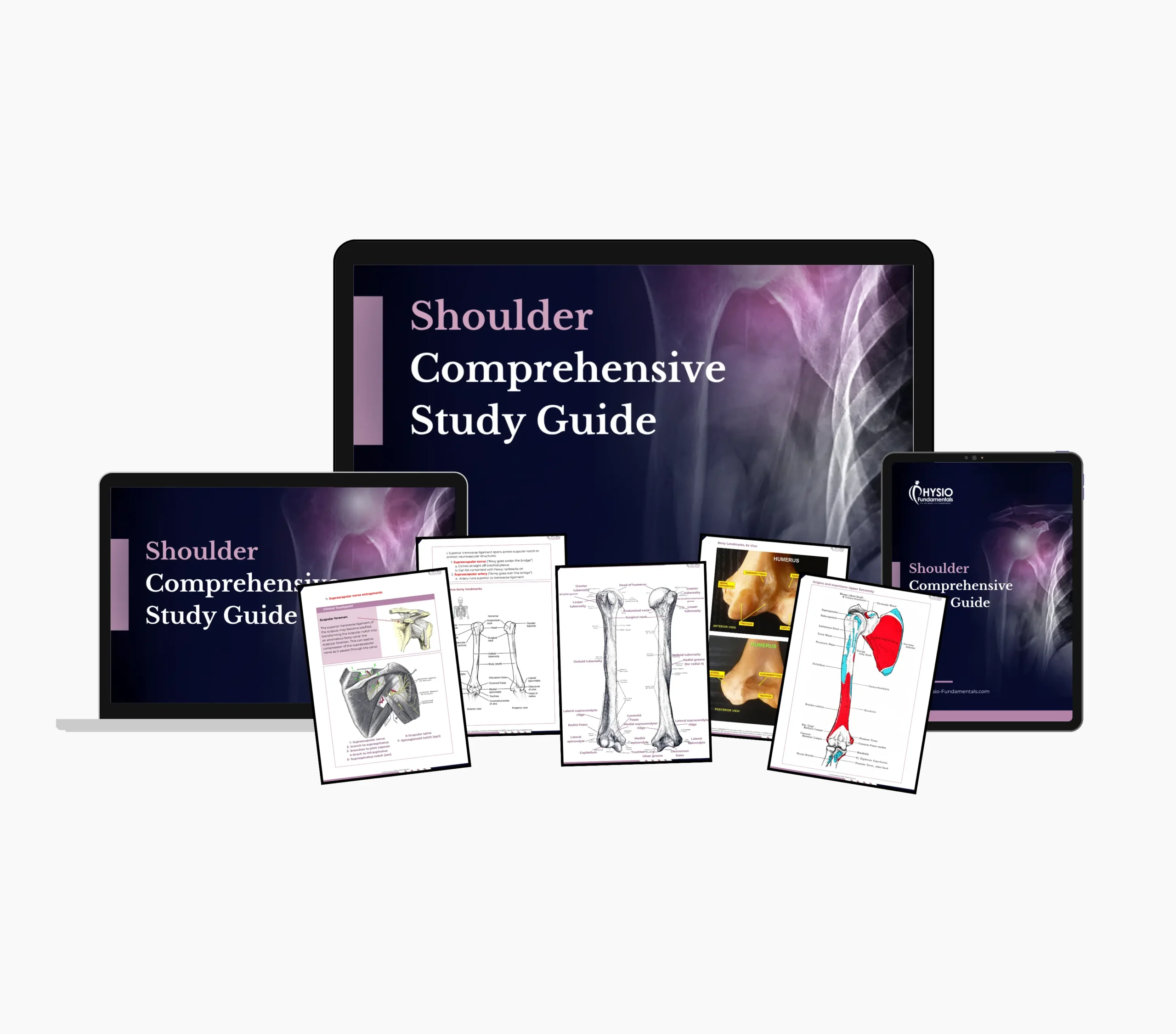 Shoulder Comprehensive Guide - Image 3