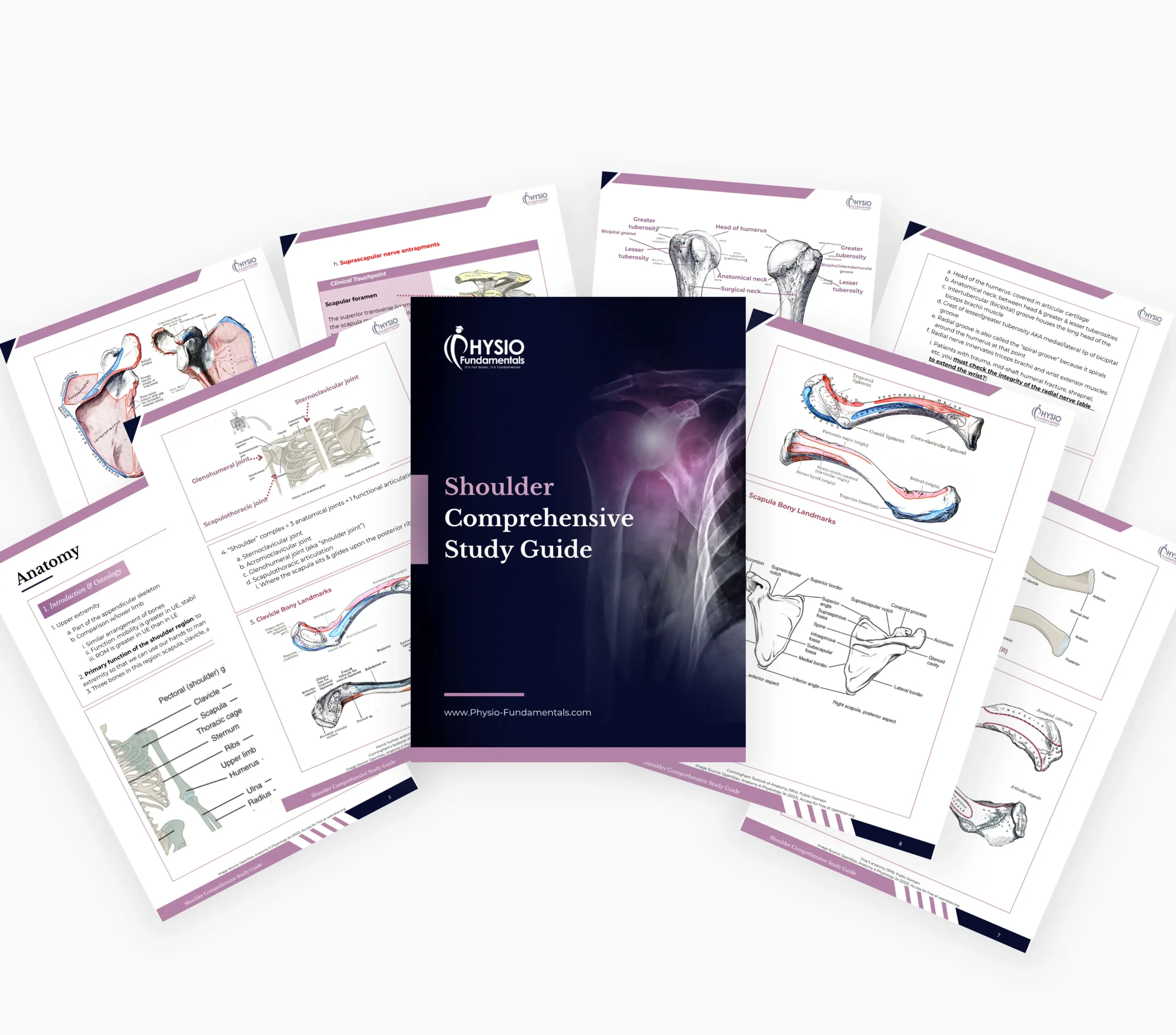 Shoulder Comprehensive Guide - Image 6